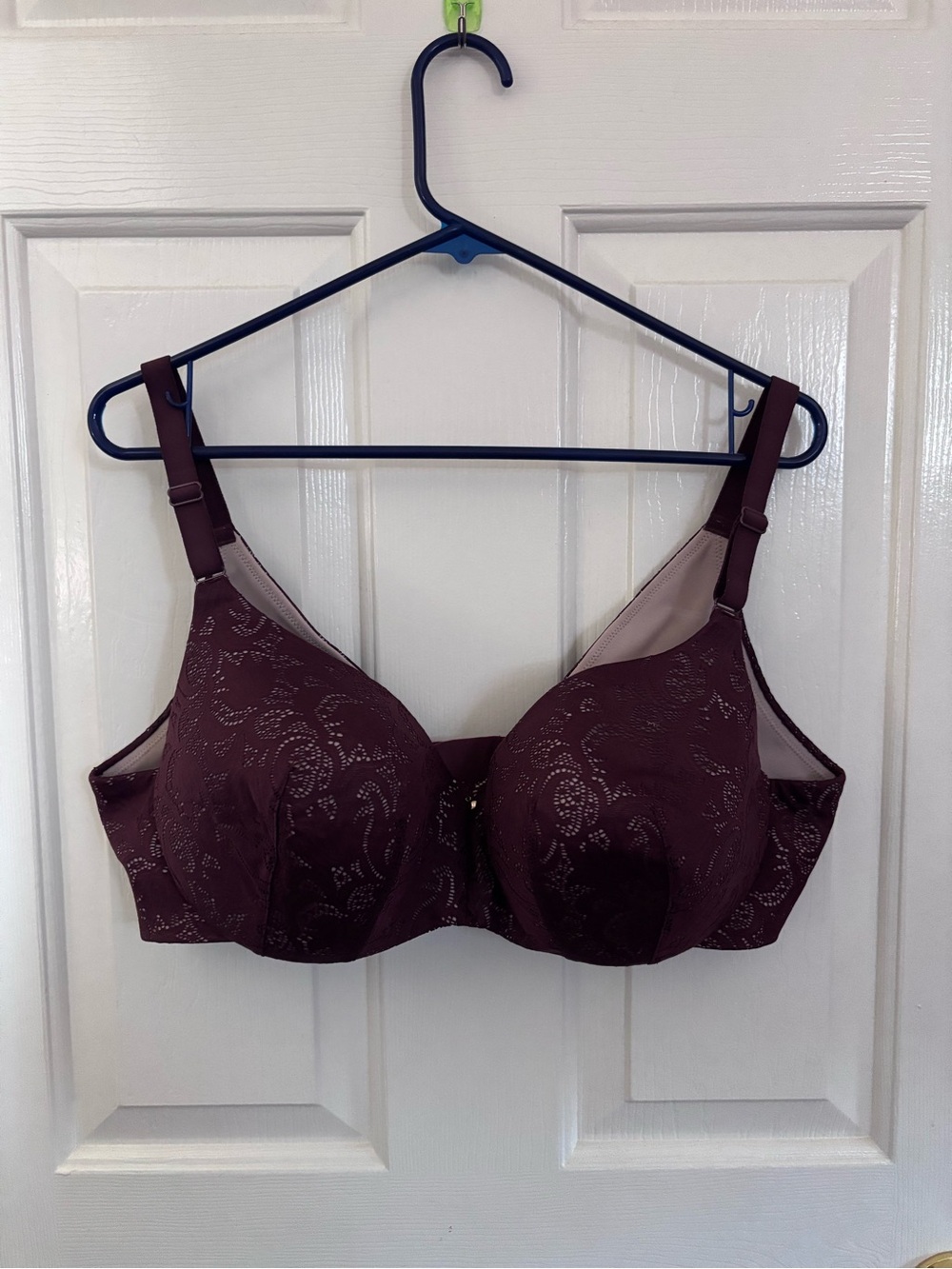 Cacique Bra 42D